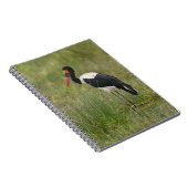 Afrika. Tansania Male Saddle-Lakai Stork Notizblock (Rechte Seite)