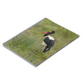 Afrika. Tansania Male Saddle-Lakai Stork Notizblock (Linke Seite)