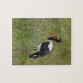 Afrika. Tansania Male Saddle-Lakai Stork Puzzle (Horizontal)