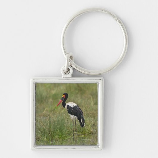 Afrika. Tansania Male Saddle-Lakai Stork Schlüsselanhänger (Vorne)