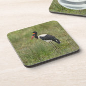 Afrika. Tansania Male Saddle-Lakai Stork Untersetzer (Linke Seite)