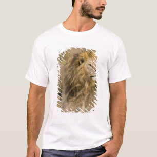 Afrika. Tansania. Männlicher Löwe bei Ngorongoro T-Shirt