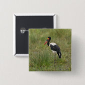 Afrika. Tansania. Männlicher Sattelstorch Button (Vorne & Hinten)