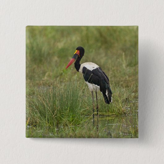Afrika. Tansania. Männlicher Sattelstorch Button (Vorderseite)