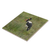 Afrika. Tansania. Männlicher Sattelstorch Fliese (Seite)