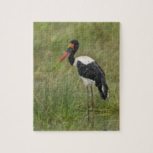 Afrika. Tansania. Männlicher Sattelstorch Puzzle