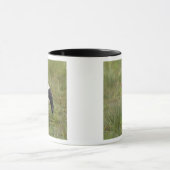 Afrika. Tansania. Männlicher Sattelstorch Tasse (Zentrum)