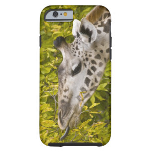 Afrika. Tansania. Masai-Giraffe bei Tarangire NP Tough iPhone 6 Hülle