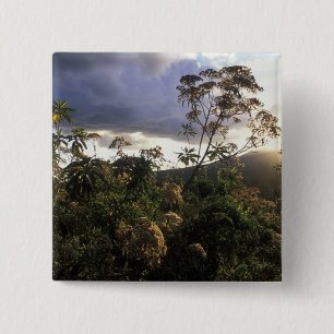 Afrika, Tansania, Schutzgebiet Ngorongoro, Button