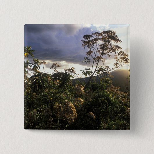 Afrika, Tansania, Schutzgebiet Ngorongoro, Button (Vorderseite)