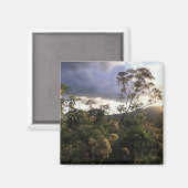 Afrika, Tansania, Schutzgebiet Ngorongoro, Magnet (Vorderseite/Rückseite)