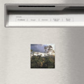 Afrika, Tansania, Schutzgebiet Ngorongoro, Magnet (In Situ (Geschirrspüler))