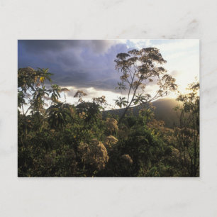 Afrika, Tansania, Schutzgebiet Ngorongoro, Postkarte