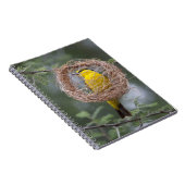 Afrika. Tansania Schwarzer Necked Weaver Notizblock (Rechte Seite)