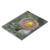 Afrika. Tansania Schwarzer Necked Weaver Notizblock (Linke Seite)