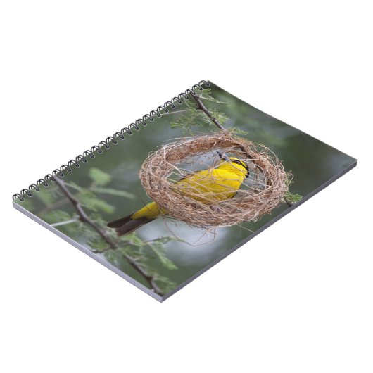 Afrika. Tansania Schwarzer Necked Weaver Notizblock (Linke Seite)