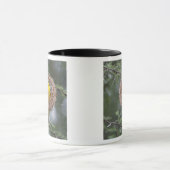 Afrika. Tansania Schwarzer Necked Weaver Tasse (Zentrum)