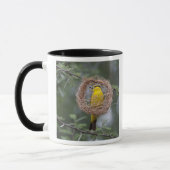 Afrika. Tansania Schwarzer Necked Weaver Tasse (Links)