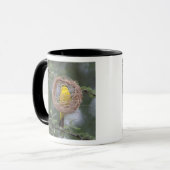 Afrika. Tansania Schwarzer Necked Weaver Tasse (Vorderseite Links)