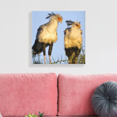 Afrika. Tansania Secretary Birds at Ndutu Leinwanddruck (Insitu (Wohnzimmer))