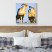 Afrika. Tansania Secretary Birds at Ndutu Leinwanddruck (Insitu (Schlafzimmer))
