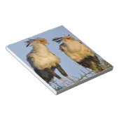 Afrika. Tansania Secretary Birds at Ndutu Notizblock (angewinkelt)