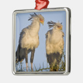 Afrika. Tansania Secretary Birds at Ndutu Silbernes Ornament (Links)
