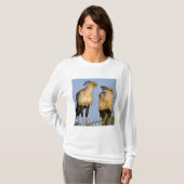 Afrika. Tansania Secretary Birds at Ndutu T-Shirt (Vorne ganz)