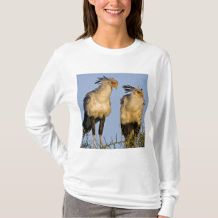 Afrika. Tansania Secretary Birds at Ndutu T-Shirt