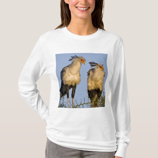 Afrika. Tansania Secretary Birds at Ndutu T-Shirt (Vorderseite)