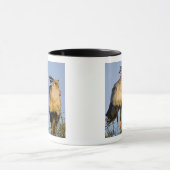 Afrika. Tansania Secretary Birds at Ndutu Tasse (Zentrum)