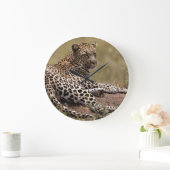 Afrika, Tansania, Serengeti. Leopard Große Wanduhr (Zuhause)