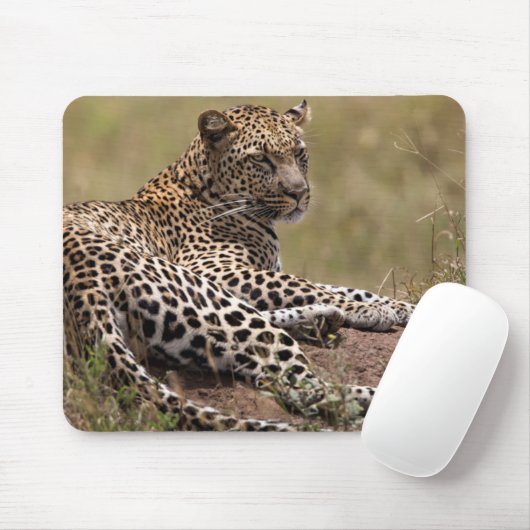 Afrika, Tansania, Serengeti. Leopard Mousepad (Mit Mouse)