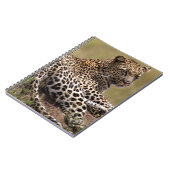 Afrika, Tansania, Serengeti. Leopard Notizblock (Linke Seite)