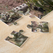 Afrika, Tansania, Serengeti. Leopard Puzzle (Seite)