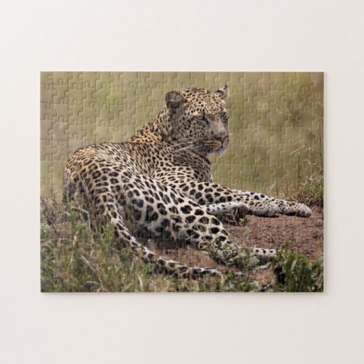 Afrika, Tansania, Serengeti. Leopard Puzzle (Horizontal)