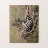 Afrika, Tansania, Serengeti. Leopard Puzzle (Vertikal)