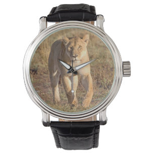 Afrika, Tansania, Serengeti. Löwe und Löwin Armbanduhr