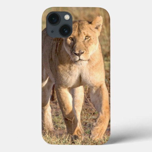Afrika, Tansania, Serengeti. Löwe und Löwin Case-Mate iPhone Hülle (Rückseite)