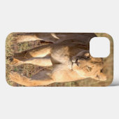 Afrika, Tansania, Serengeti. Löwe und Löwin Case-Mate iPhone Hülle (Rückseite (Horizontal))