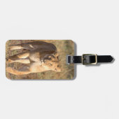 Afrika, Tansania, Serengeti. Löwe und Löwin Gepäckanhänger (Vorderseite horizontal)