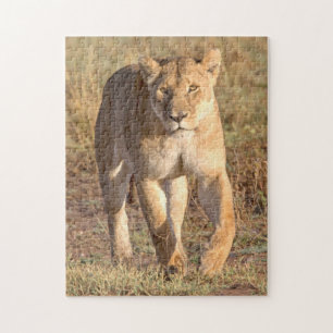 Afrika, Tansania, Serengeti. Löwe und Löwin Puzzle