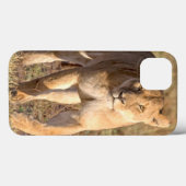 Afrika, Tansania, Serengeti. Löwen und Löwen Case-Mate iPhone Hülle (Rückseite (Horizontal))