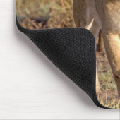 Afrika, Tansania, Serengeti. Löwen und Löwen Mousepad (Ecke)
