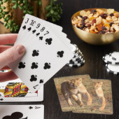 Afrika, Tansania, Serengeti. Löwen und Löwen Spielkarten (In Situ)