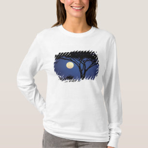 Afrika, Tansania, Tarangire. Akazienbaum in T-Shirt
