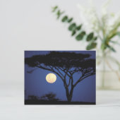 Afrika, Tansania, Tarangire. Akazienbaum Postkarte (Stehend Vorderseite)