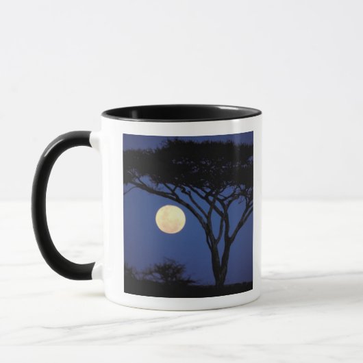 Afrika, Tansania, Tarangire. Akazienbaum Tasse (Links)