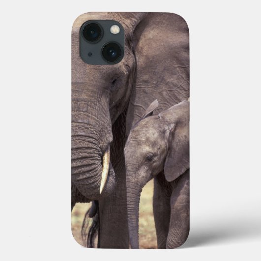 Afrika, Tansania, Tarangire-Nationalpark. 2 Case-Mate iPhone Hülle (Rückseite)