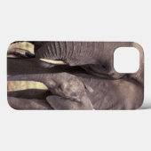 Afrika, Tansania, Tarangire-Nationalpark. 2 Case-Mate iPhone Hülle (Rückseite (Horizontal))